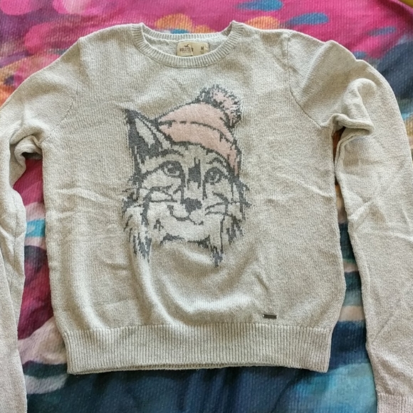 Hollister Sweaters - Hollister Sweater - Wildcat with Hat